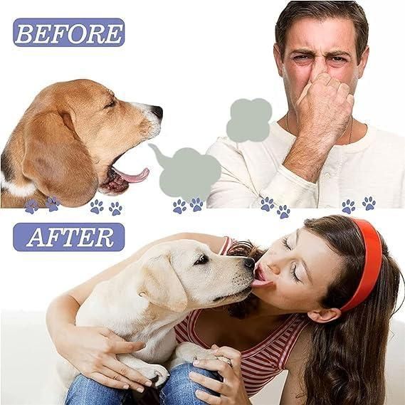 No Brushing Pet Oral Care Spray 100ml Pack of 2 rj1jn6-fq